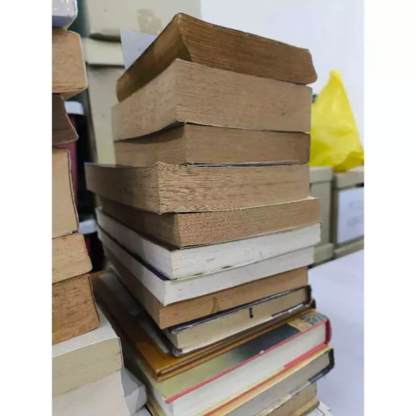 my-11134207-7rasb-mb3miqed599n21.webp English Novels Random Picks 2kg Clearance Books Pre loved Books